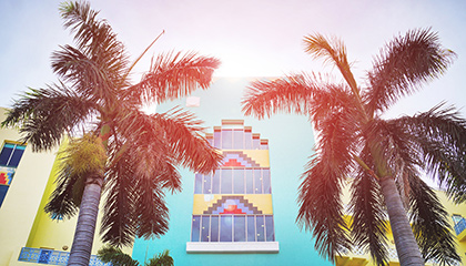 Safira_miami_art